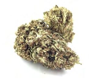 Buy ORANGE BUD CBG – hemp flowers 50g