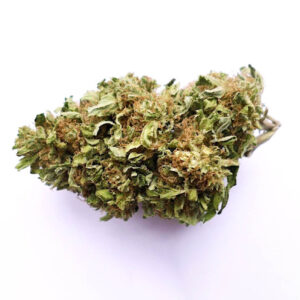 Bio Jesus Weed Strain