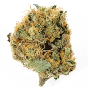 Black Widow Sativa Weed Strain