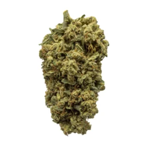 Blackberry Kush Weed Strain