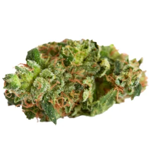 Blue God Weed Strain