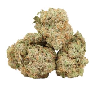 Buy gorilla glue