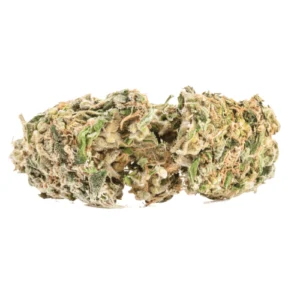 Bob Marley Sativa Weed Strain