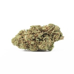 Buy Cheese bud CBD