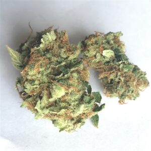 Cherry Diesel weed strain