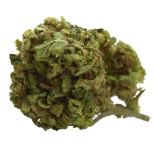 Elmer’s Glue weed strain
