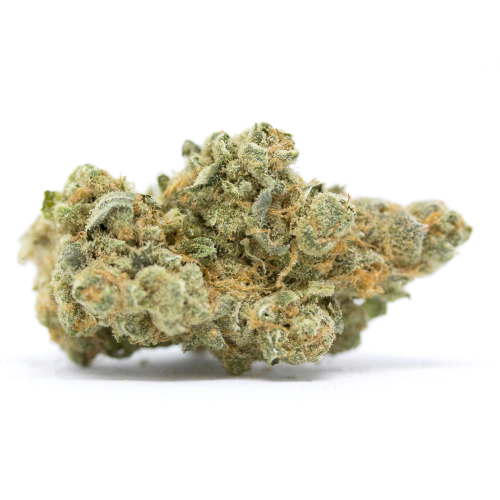 El Dorado Sativa Weed Strain
