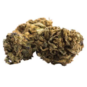 Hindu Weed Strain