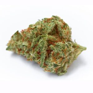 Holy Grail Hybrid weed strain