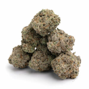 Jamaican Lambs Bread Sativa Weed Strain