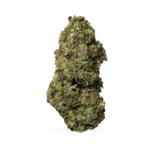 Lemon Tree Hybrid weed strain