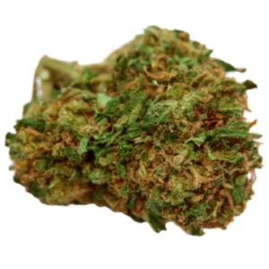 Mag Landrace Weed Strain