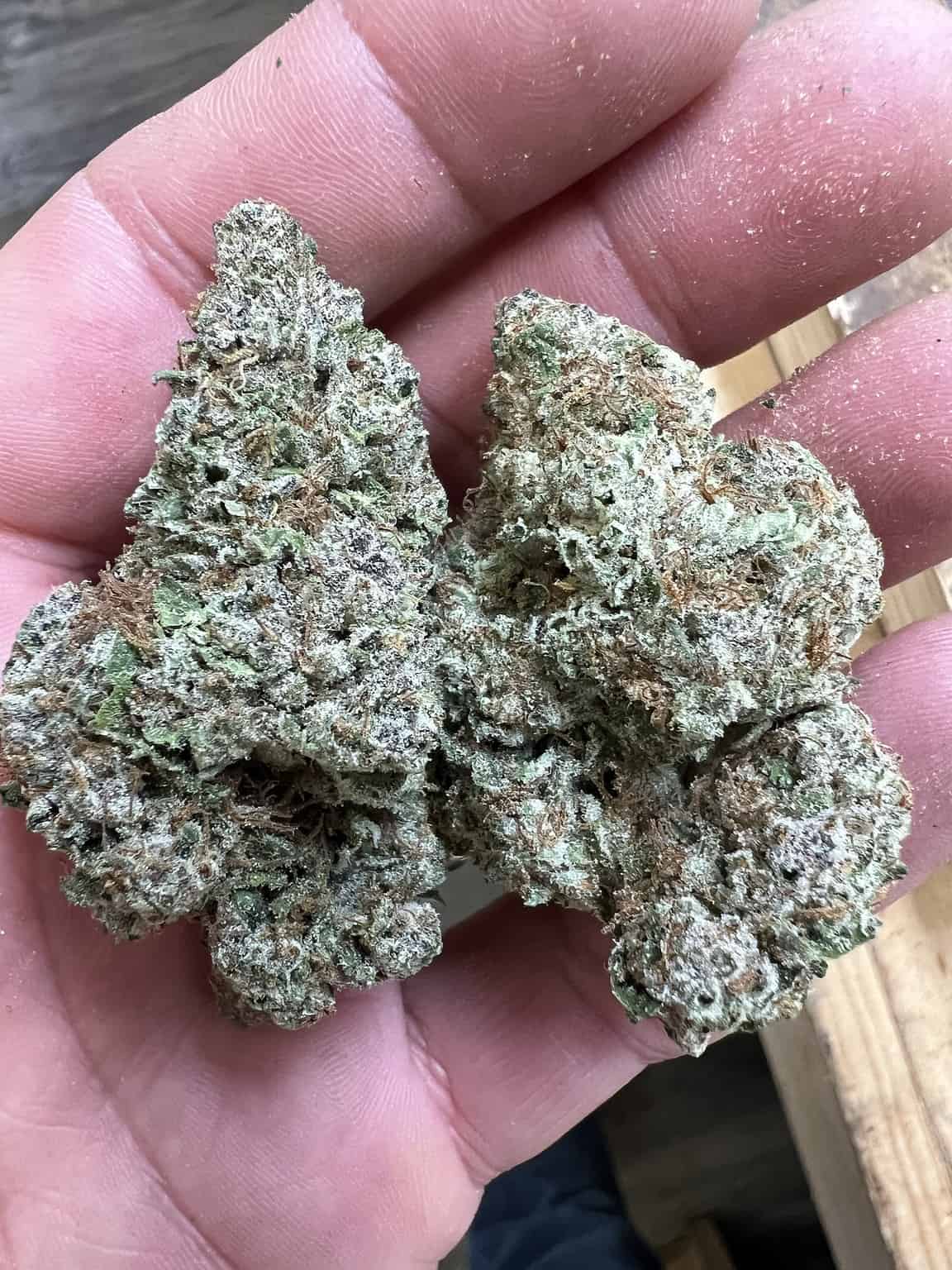 Buy White Widow Weed Strain Online in Europe 50g